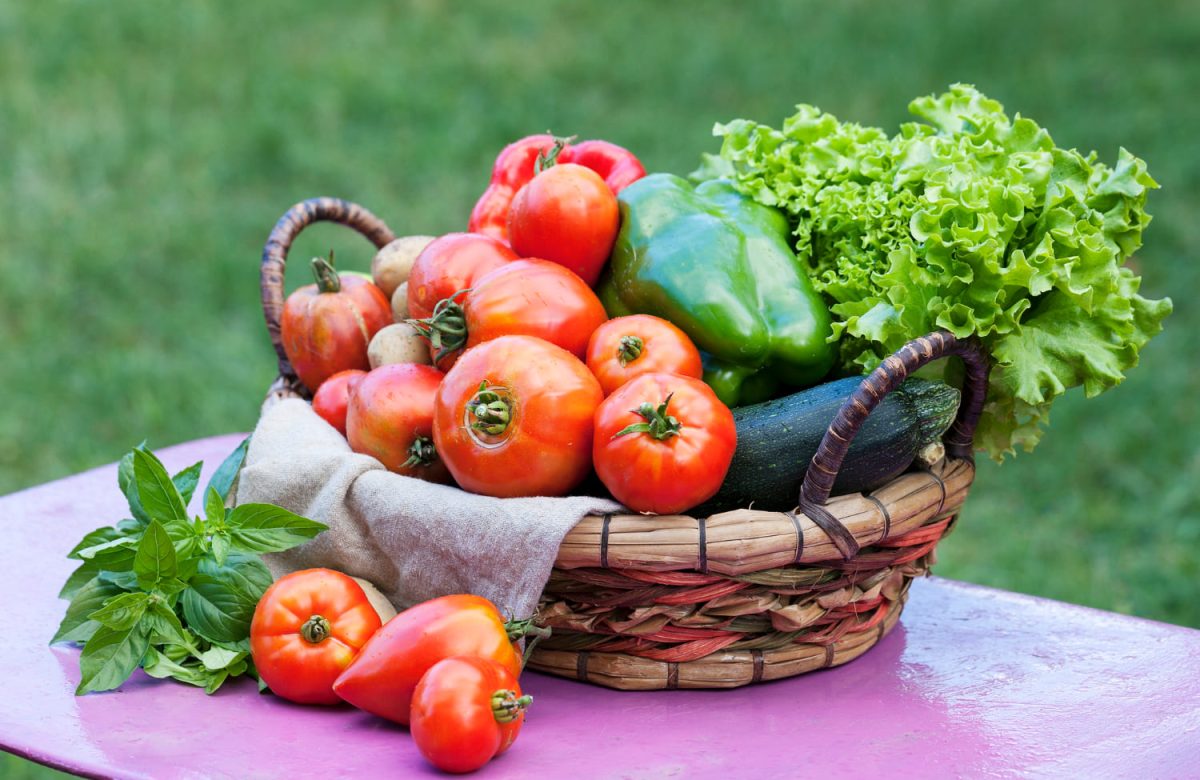 Sample Diet Chart For Cancer Patients